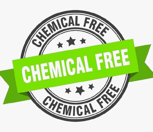 Chemical Free Icon